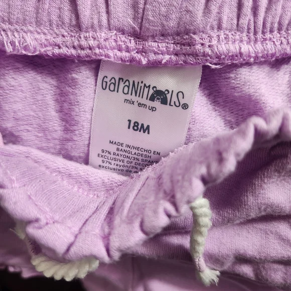 Garanimals Light Green and Purple Pineapple Set - Picture 3 of 4